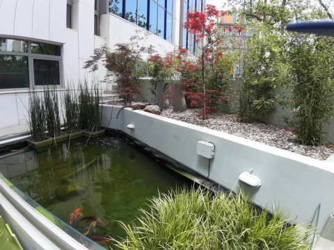 Water Garden σε κτίριο γραφείων